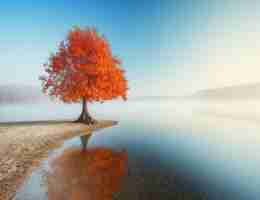 301重‌定﻿向‍怎​么​操‍作‌